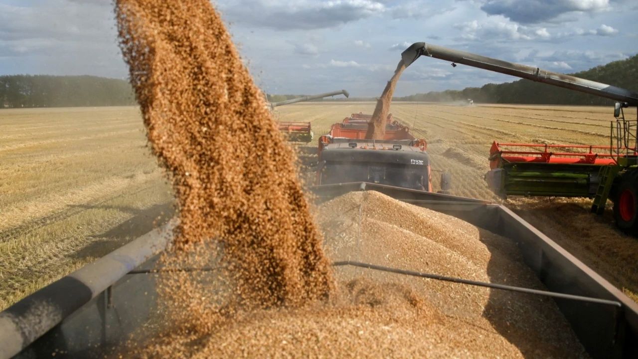 2026 buğday ve arpa alım fiyatları belli oldu